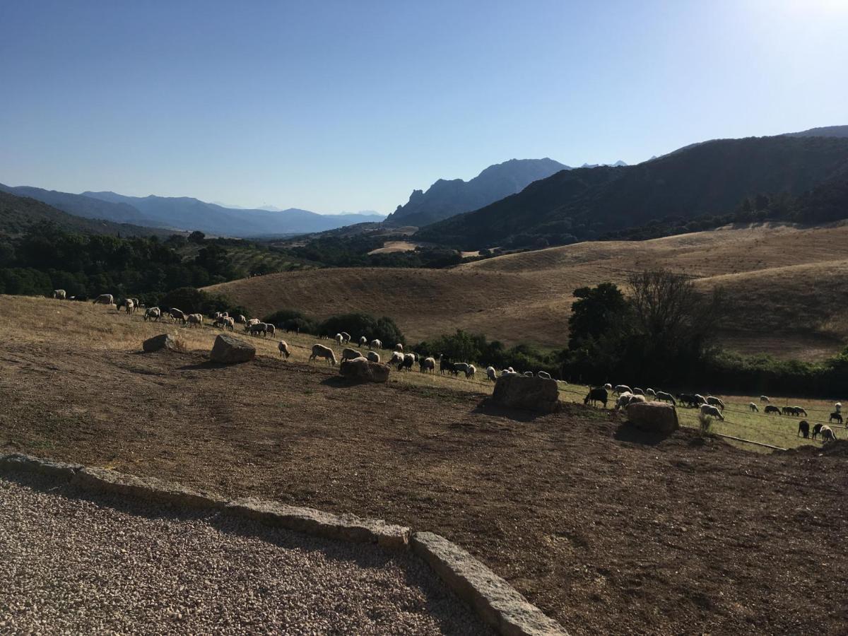 Ferme De Roccapina Bed & Breakfast Sarragia Dış mekan fotoğraf