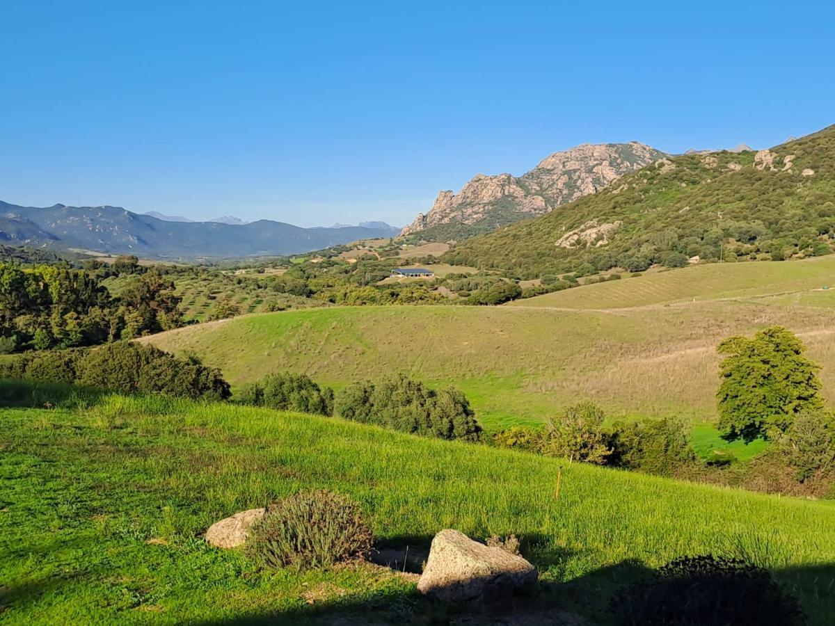 Ferme De Roccapina Bed & Breakfast Sarragia Dış mekan fotoğraf